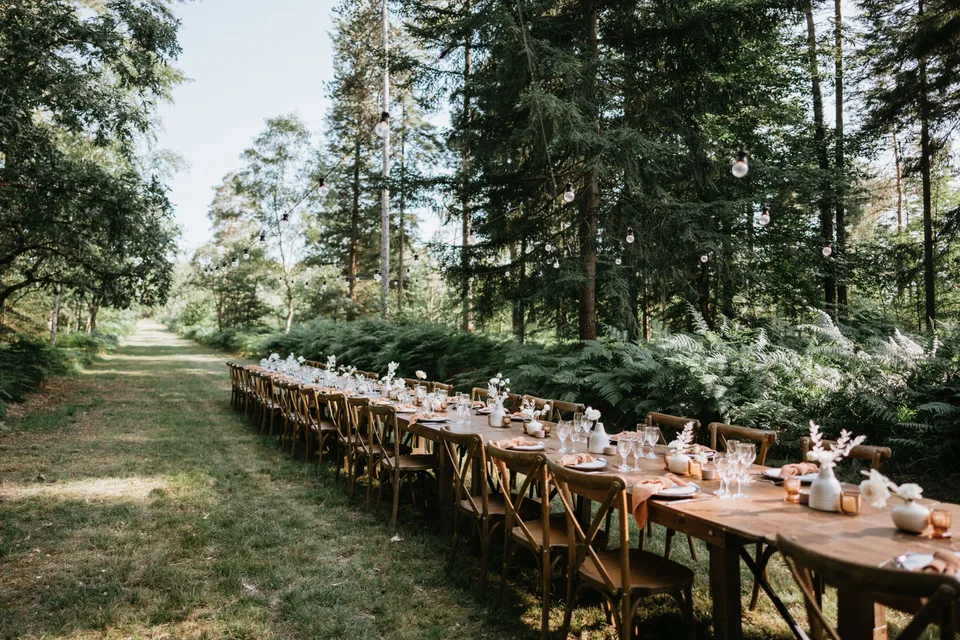 A long reception table beneath the trees
