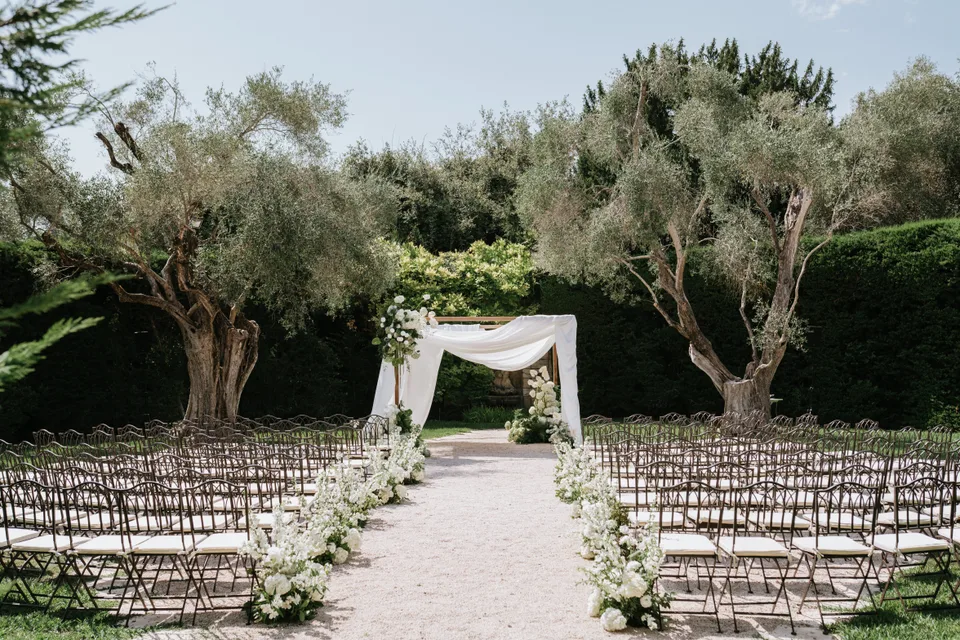 A ceremony aisle among olive trees